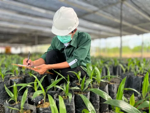 Astra Agro Rilis Tiga Varietas Unggul Moderat Ganoderma
