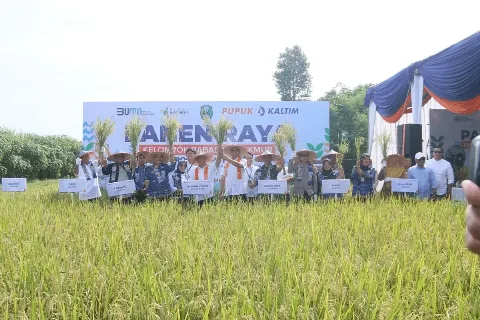 Pupuk Kaltim Mendorong Ketahanan Pangan Melalui Pengembangan Ekosistem Pertanian