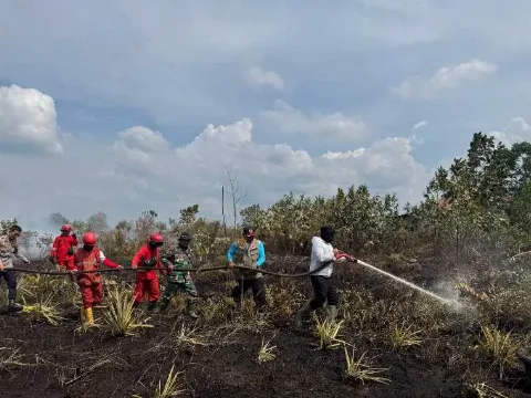 Hotspot di Provinsi Riau Terditeksi 156 Titik
