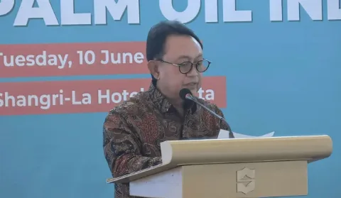 Produksi Sawit Stagnan, Konsumsi Domestik Melonjak