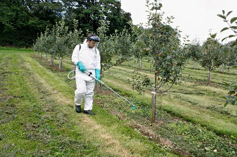NEX Agro Resource Tawarkan Sprayer Berkualitas untuk Perawatan Kebun Sawit
