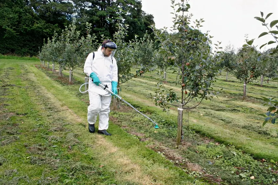 NEX Agro Resource Tawarkan Sprayer Berkualitas untuk Perawatan Kebun Sawit