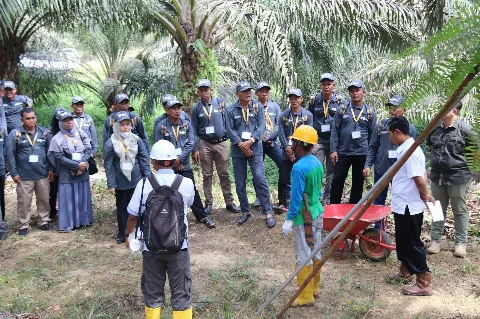 IPB Training, BPDP dan Ditjenbun Bekali Kemahiran Teknis Budidaya Petani Sawit Aceh Melalui Pelatihan
