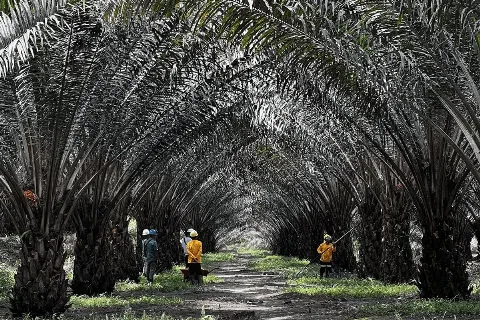 Kontribusi UMKM Terhadap PDB Mencapai 60 Persen dan Menyerap 97 Persen Tenaga Kerja
