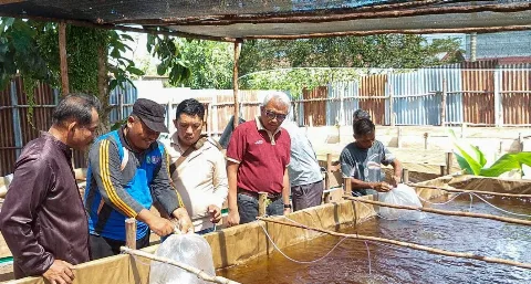 Wilmar Dorong Kemandirian Ekonomi Warga Pahirangan Lewat Budidaya Ikan Nila