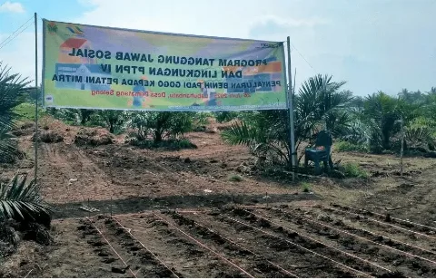 PalmCo Berikan Bantuan Benih Padi Gogo ke Ratusan Petani Sawit di Sumatera Utara