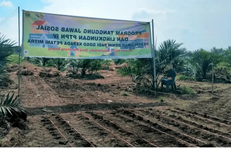 PalmCo Berikan Bantuan Benih Padi Gogo ke Ratusan Petani Sawit di Sumatera Utara
