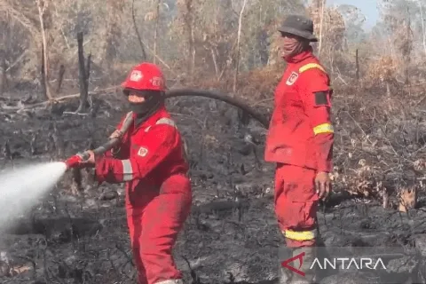 Masitoh, perempuan Manggala Agni di Garis Api
