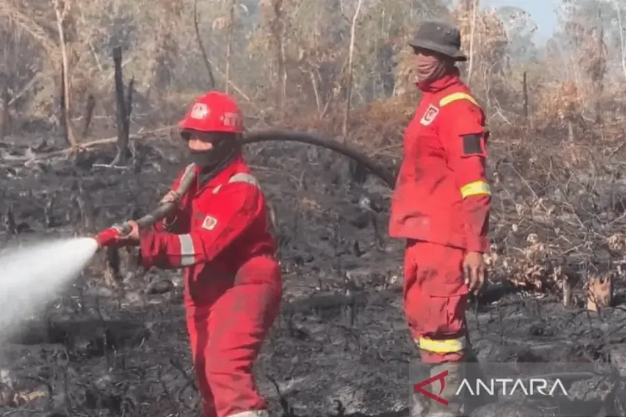 Masitoh, perempuan Manggala Agni di Garis Api