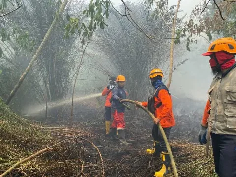 Risiko Karhutla Meluas di Kalbar