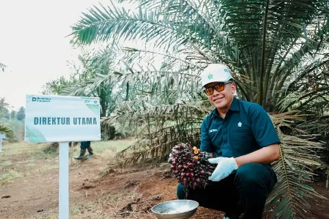 Strategi “Jemput Bola" PalmCo Permudah  Petani Ikut PSR