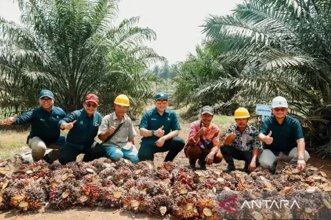 PalmCo Mengajak Masyarakat Menyelamatkan Lingkungan Melalui Pembelian Kredit Karbon
