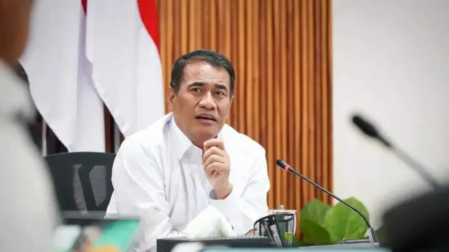 Harga TBS Sawit Mulai Menguat, Berikut Daftar Harga di Sejumlah Provinsi
