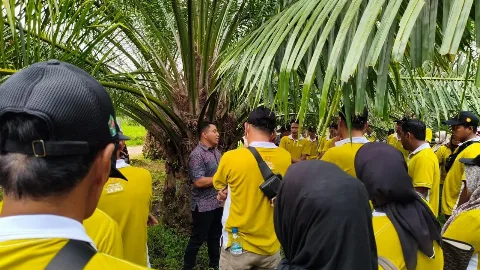Tambah Wawasan, AKPY, BPDP dan Ditjenbun Ajak 210 Petani Sawit Lutra Kunjungi Kebun PTPN
