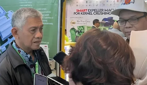 Produktivitas Sawit Menurun, Konsumsi Minyak Sawit Domestik Meningkat