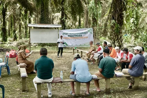 Program SLV Apical Group: Ragam Aktivitas untuk Penghijauan Targetkan 90.000 pohon dalam Tiga Tahun