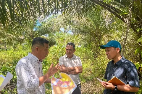 PT REA Kaltim Plantations Memberdayakan 600 Petani Swadaya Peroleh RSPO