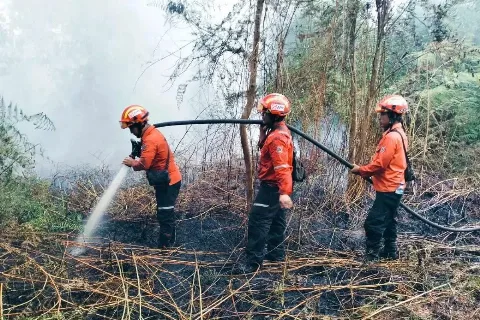 Pekanbaru Berada di Garis Terdepan Dalam Kesiapan, Mencegah Dampak Karhutla
