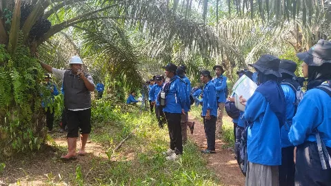 Percepat Penguasaan Teknik Budidaya, 106 Pekebun Sawit Muara Enim Ikuti Pelatihan Berbasis Praktik