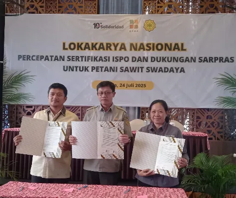 Solidaridad dan Kementan Dorong Percepatan Sertifikasi ISPO bagi Petani Sawit Swadaya