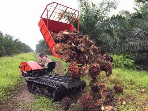 PT Satrindo Mitra Utama Perkenalkan Solusi Mekanisasi Modern di SIEXPO 2025