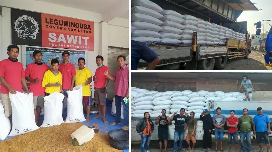 Gemah Ripah Loh Jenawe: Perusahaan Agriculture, Plantation, dan Agribusiness yang Legal &amp; Terpercaya dalam Penyediaan Benih Cover Crop di Indonesia