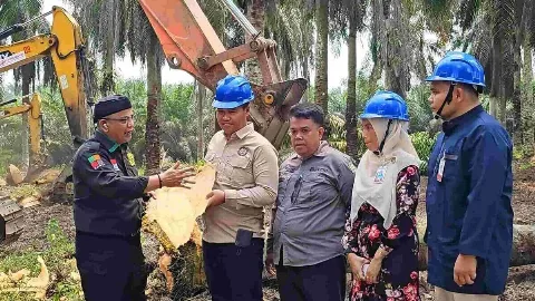 Gapoktan Manunggal Sakti Gelar PSR Tanaman Sawit Umur 40 Tahun, Ini Penjelasannya