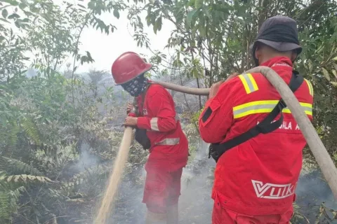 46 Titik Panas Terdeteksi di Riau