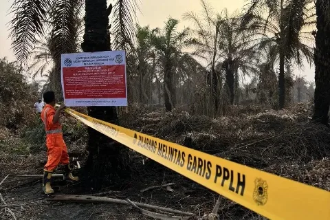 PT Tunggal Mitra Plantation Diduga Terlibat Karhutla