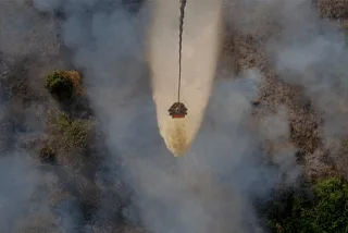 Water Bombing Senjata Andalan Tangani Karhutla Gambut di Riau