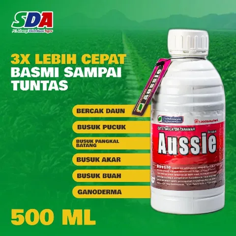 Aussie Solusi Tuntas Lawan Ganoderma, Siap Tampil di 3rd SIEXPO 2025