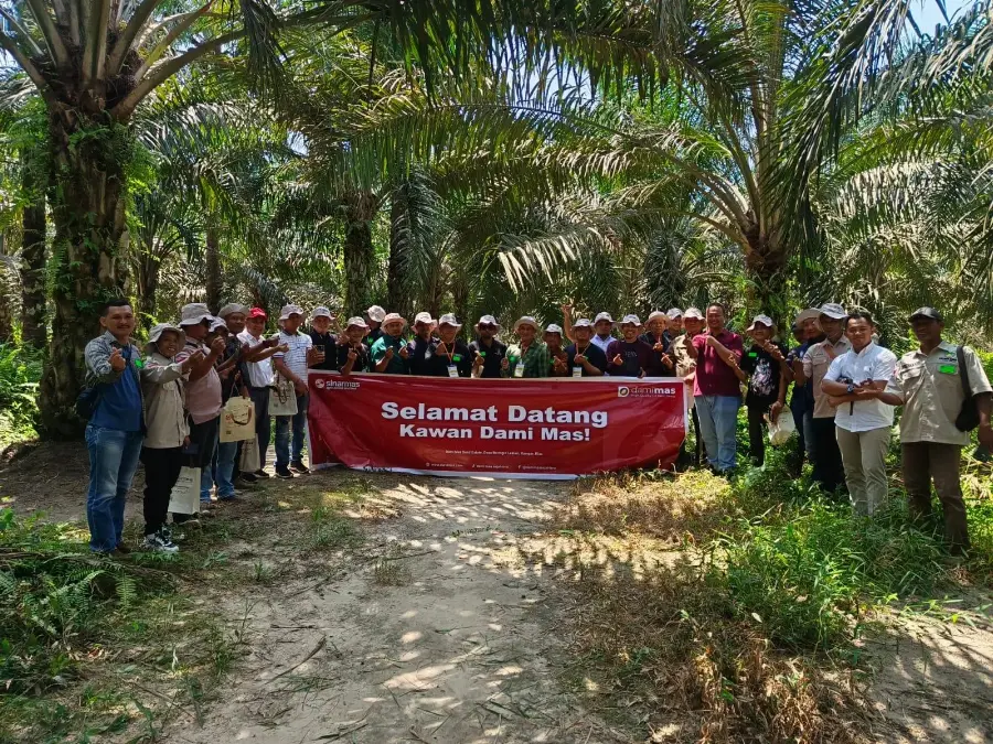 Dami Mas Ajak 50 Peserta Mendalami Produksi Benih Sawit Unggul Lewat Kunjungan Edukatif di SIEXPO 2025