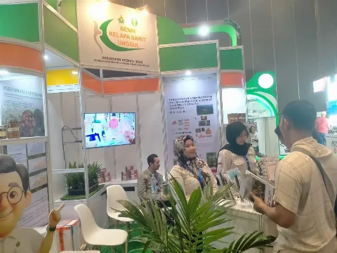 Ribuan Benih Simalungun dan DXP PPKS 540 Diborong Petani di KSO Adolina