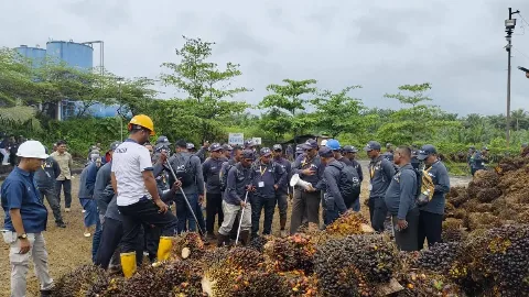 Tingkatkan Kapasitas SDM Petani Aceh: Upaya IPB Training, BPDP, dan Ditjenbun Wujudkan Peningkatan Produktivitas