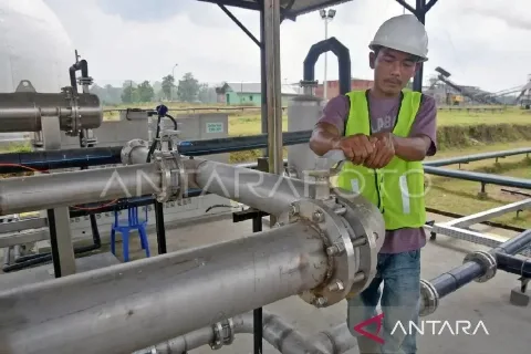 Kaltim Garap Transisi Energi Dengan Pemanfaatan Limbah Kelapa Sawit