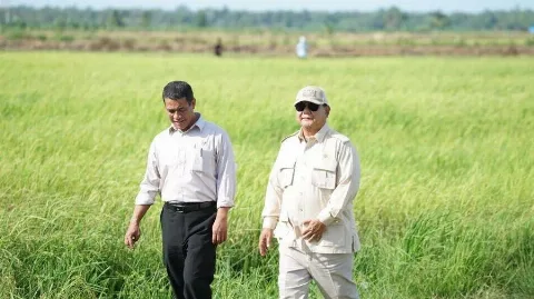 Sektor Pertanian Menjadi Penopang Ekonomi Indonesia di Kuartal I Tahun 2026