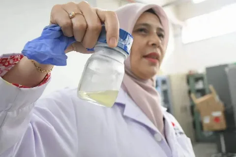 Tandan Kosong Kelapa Sawit Jadi Minyak Biomassa Dengan Manfaatkan Teknologi Pirolisis