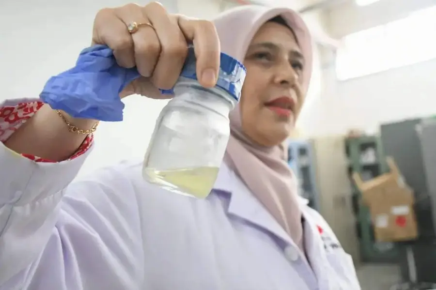 Tandan Kosong Kelapa Sawit Jadi Minyak Biomassa Dengan Manfaatkan Teknologi Pirolisis
