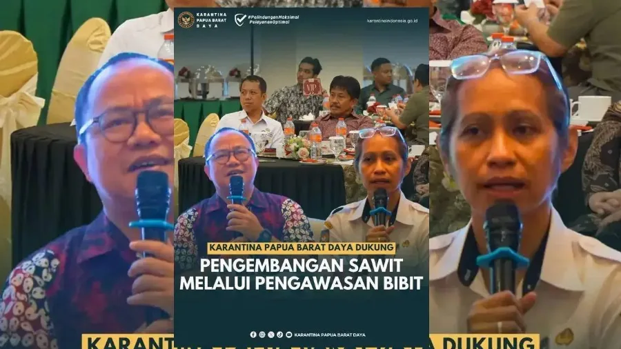 Karantina Papua Barat Daya Dukung Perekonomian Daerah 3T Dengan Kelapa Sawit