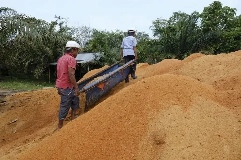  PLN Energi Primer Indonesia Targetkan Tiga Juta Ton Biomassa Bisa Tercapai