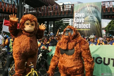 Pendekatan koeksistensi Solusi konflik Orangutan dengan Manusia