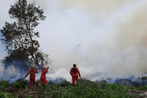 Karhutla di Indonesia Menunjukkan Penurunan Signifikan
