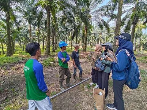 Inovasi Anak Negeri: Egrek dan Pendeteksi Kematangan Buah Sawit