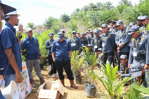 Kolaborasi IPB Training, Ditjenbun dan BPDP Bekali Petani Sawit Aceh Teknis Budadaya, Agar Lebih Profesional
