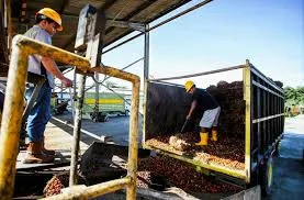 Potensial Bahan Baku Untuk Produksi SAF di Indonesia