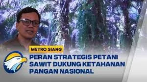 LPP Agro Nusantara Dorong Petani Sawit Menjadi Tulang Punggung Industri Sawit yang Berkelanjutan