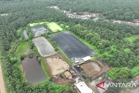 DLH Kabupaten Kampar Pastikan Sungai Tapung Tidak Tercemar Limbah Pabrik Kelapa Sawit