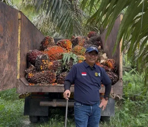 Harga TBS Kelapa Sawit Mitra Swadaya di Hargai Rp3.846,00/Kg