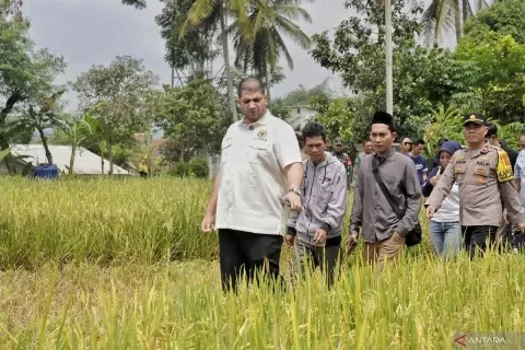 Anggota Komisi IV DPR RI Ingatkan Distributor dan Kios Tidak Mempermainkan Penyaluran Pupuk Bersubsidi