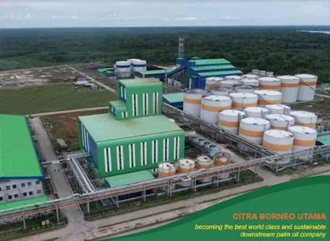 Pendapatan Citra Borneo Utama Naik Menjadi Rp6,6 Triliun, Darimana Penopangnya?
